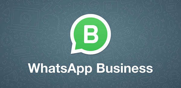 whatsapp business download apk